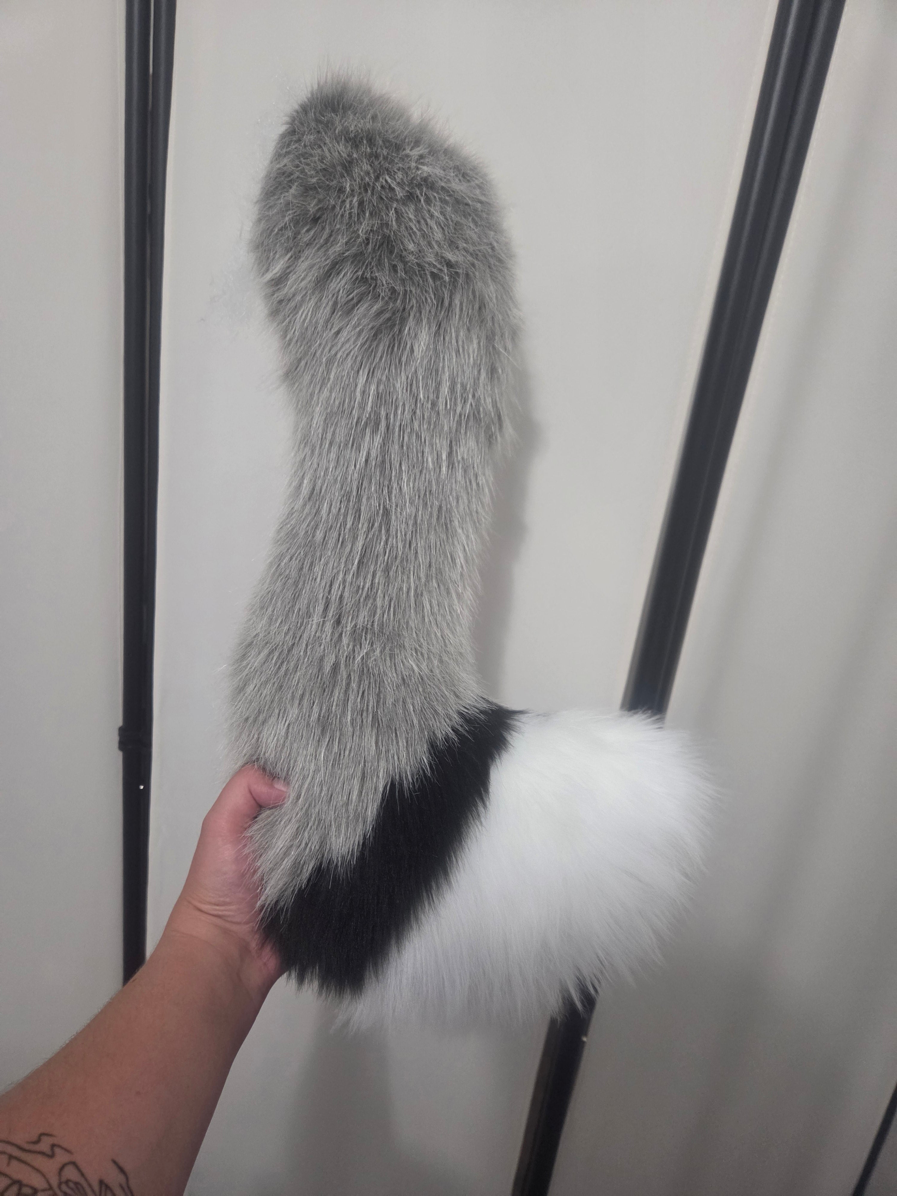 Grey fox tail
