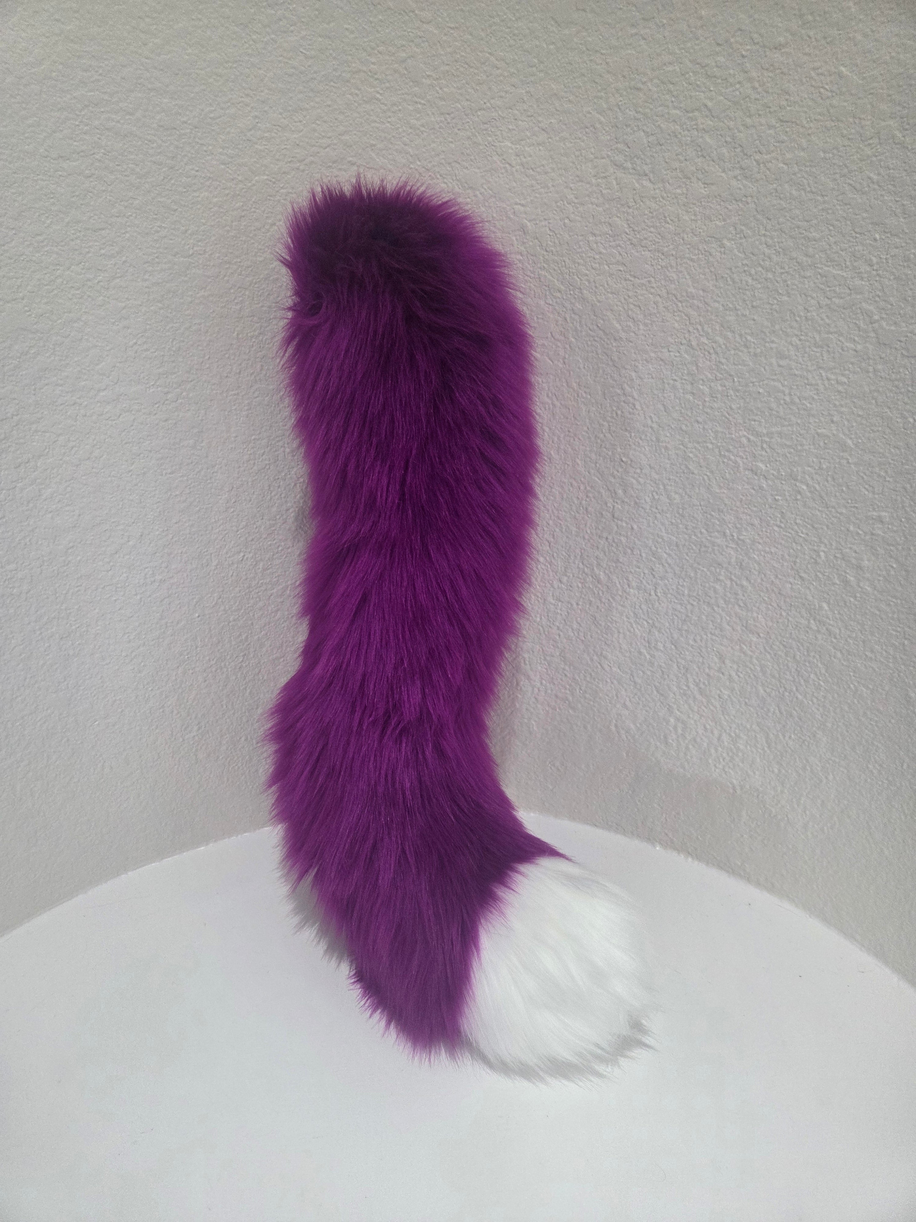 Purple cat tail